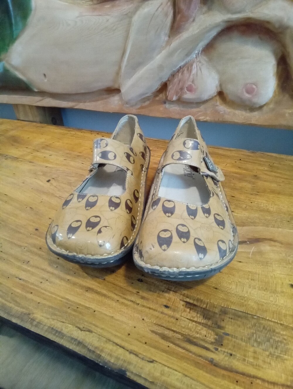 Alegria Sz 37 Owl Paloma The Left Shoe Is Cracked... Anybody Need A Right Shoe?